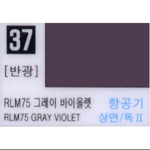 (37번) 그레이 바이올렛 RLM75