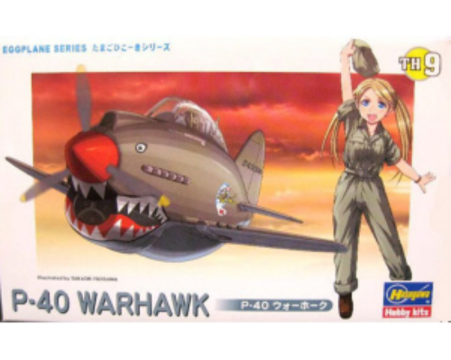 EGG PLANE P-40 WARHAWK