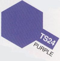 TS-24 PURPLE