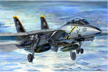 TRU03202 1/32 F-14B Tomcat
